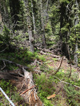 Fern Lake Trail (RMNP): Plot 90