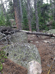 North Fork Trail (RMNP): Plot 186