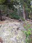 North Fork Trail (Glen Haven): Plot 192 by Mario Bretfeld, Scott B. Franklin, and Robert K. Peet
