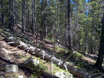 Longs Peak Trail: Plot 232