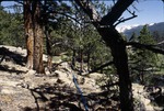 Moraine Park Campground, Rocky Mountain National Park, Colorado by Phil Robertson