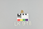 LK 009.018