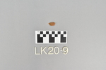 LK 020.009
