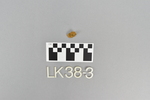 LK 038.003