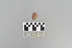 LK 054.004