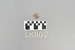 LK 080.002