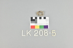 LK 208.005