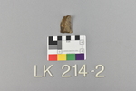LK 214.002