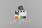 LK 216.001
