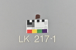 LK 217.001
