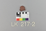 LK 217.002