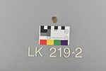 LK 219.002