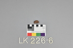 LK 226.06