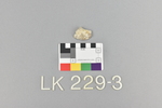 LK 229.03