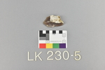 LK 230.005