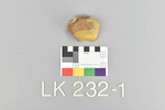 LK 232.001
