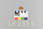 LK 233.009