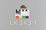 LK 243.001