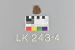LK 243.004