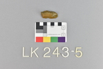 LK 243.005