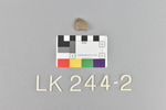 LK 244.002
