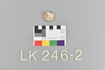 LK 246.002