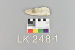 LK 248.001