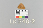 LK 248.002