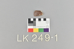 LK 249.001