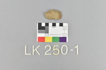 LK 250.001