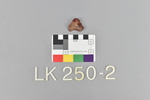 LK 250.002
