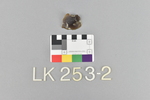 LK 253.002