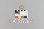 LK 253.004