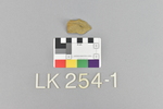 LK 254.001
