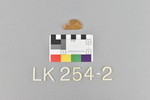 LK 254.002