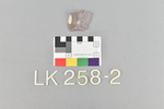 LK 258.002