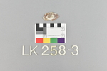 LK 258.003