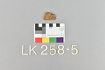 LK 258.005