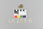 LK 258.006
