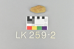 LK 259.002