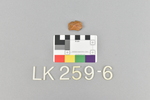 LK 259.006
