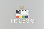 LK 263.003