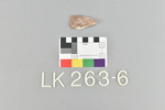 LK 263.006