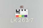 LK 263.007