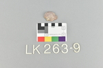 LK 263.009