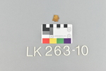 LK 263.010