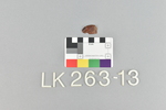 LK 263.013