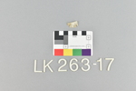 LK 263.017