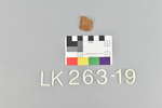 LK 263.019
