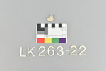 LK 263.022